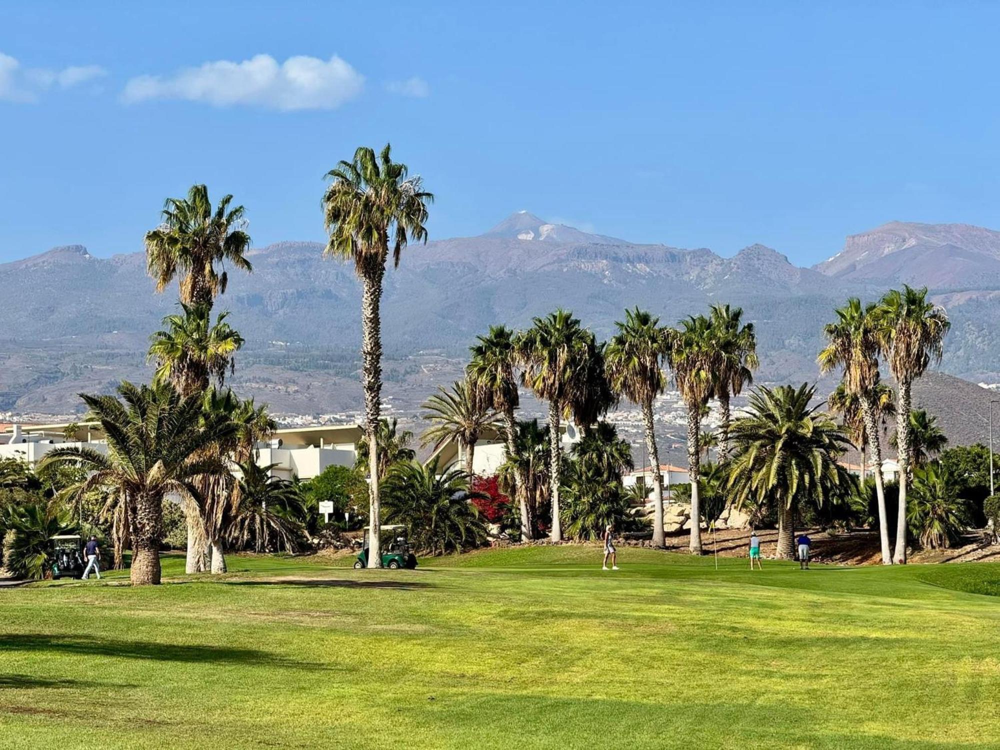 شقة Parque Albatros 118 سان ميغيل ذي أبونا المظهر الخارجي الصورة